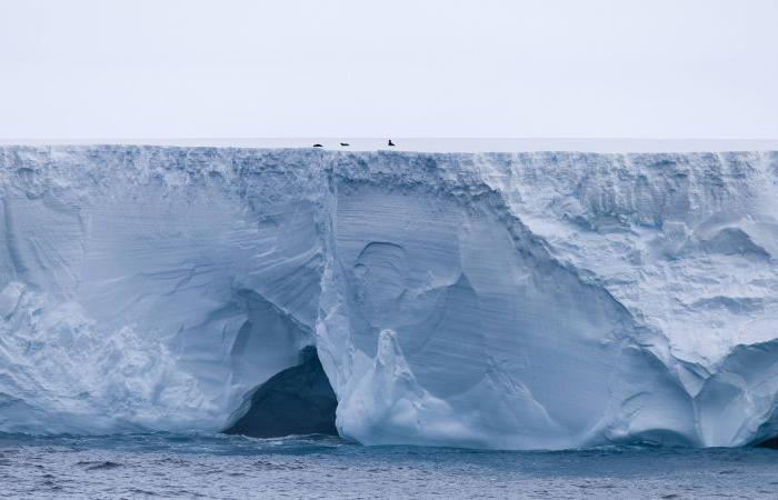 Si teme che l’iceberg più grande del mondo possa colpire un’isola nell’Atlantico meridionale