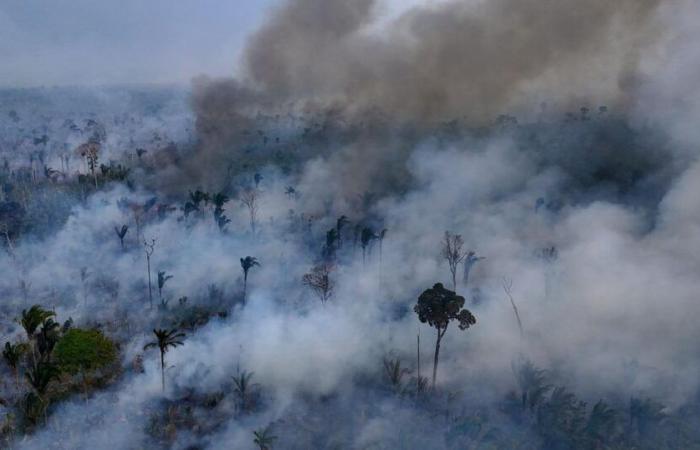 perché l’anno 2024 è stato catastrofico