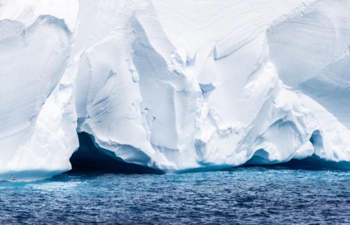 L’A23a della “regina degli iceberg” si sta dirigendo verso una remota isola del Sud Atlantico. Milioni di animali potrebbero essere a rischio