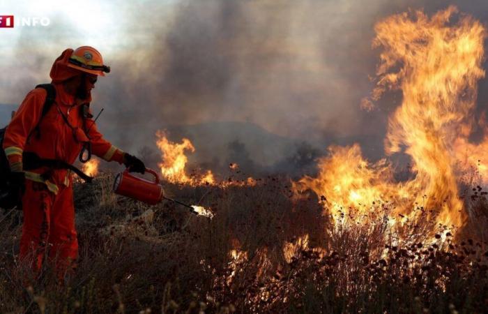 un nuovo violento incendio si diffonde nei pressi di Los Angeles, oltre 30.000 evacuazioni