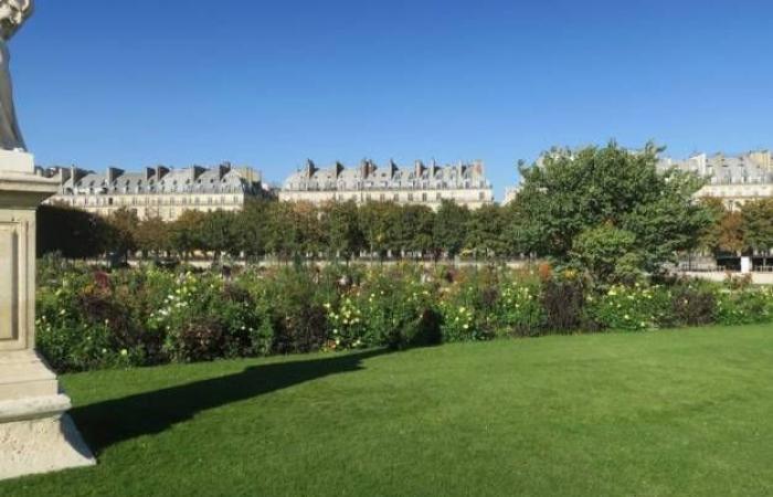 Île-de-France evidenzia i suoi 45 straordinari giardini