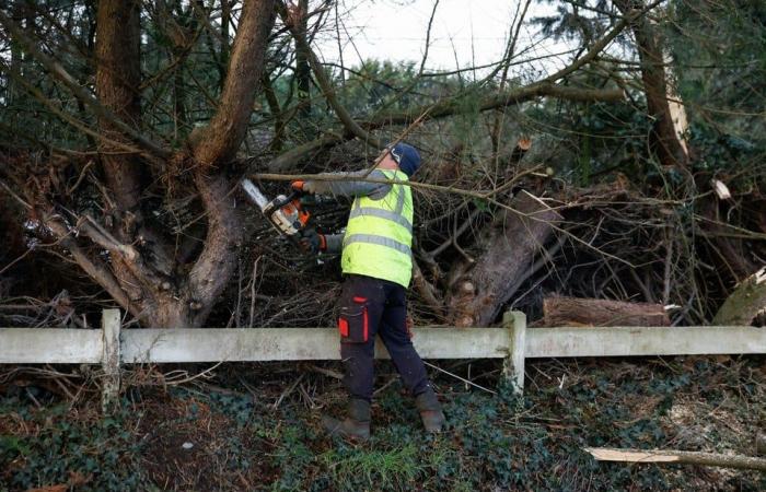 La tempesta Éowyn sta attualmente chiedendo due vite, venti record di 184 chilometri orari misurati in Irlanda