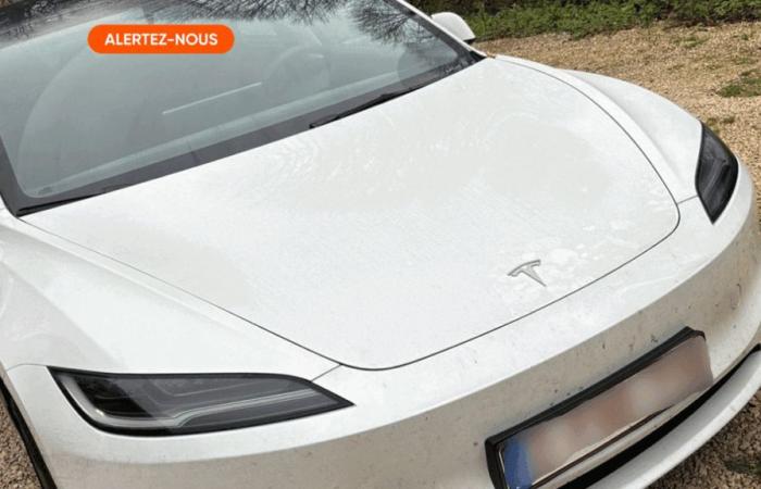 Due mesi dopo aver acquistato la sua Tesla, Olivier deve già averlo riparato