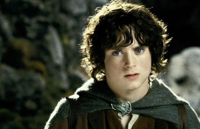 salvi Boromir se ottieni 5/5 in questo quiz su Frodo