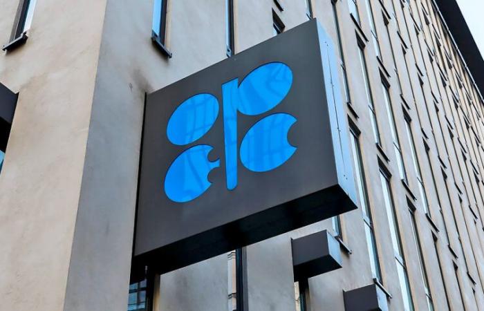 Il mercato petrolifero dubita che Trump abbia la piega dell’OPEC