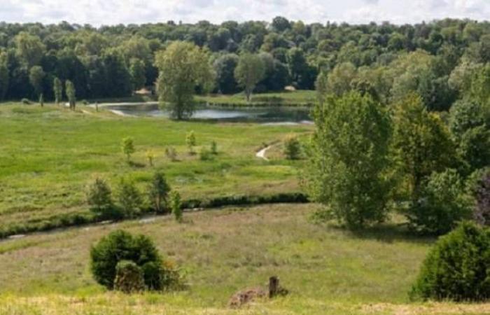 Île-de-France evidenzia i suoi 45 straordinari giardini