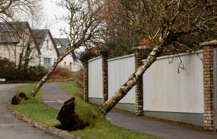 Storm Eowyn, con venti di oltre 135 km/h, attraversato in Irlanda, Alert Red sollevato