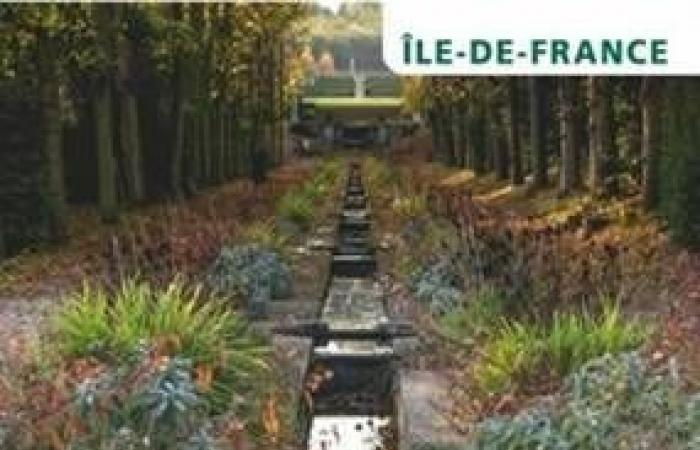 Île-de-France evidenzia i suoi 45 straordinari giardini