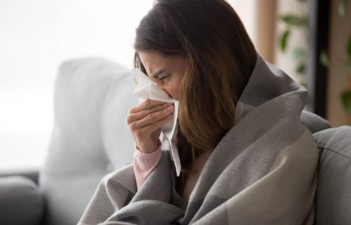 Volontari cercati nel Basso Reno per prevenire epidemie di influenza, covid e bronchiolite