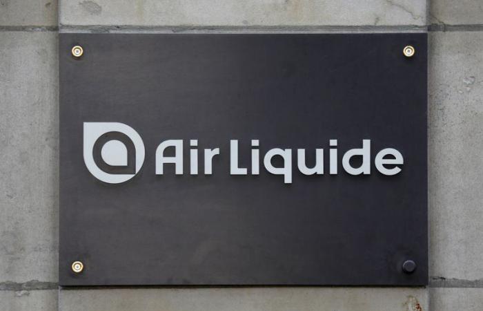 Opinione degli analisti del giorno: Air Liquide, Danone, Imerys, Sandoz, Ubisoft, Alcon, Essilorluxottica… – 24/01/2025