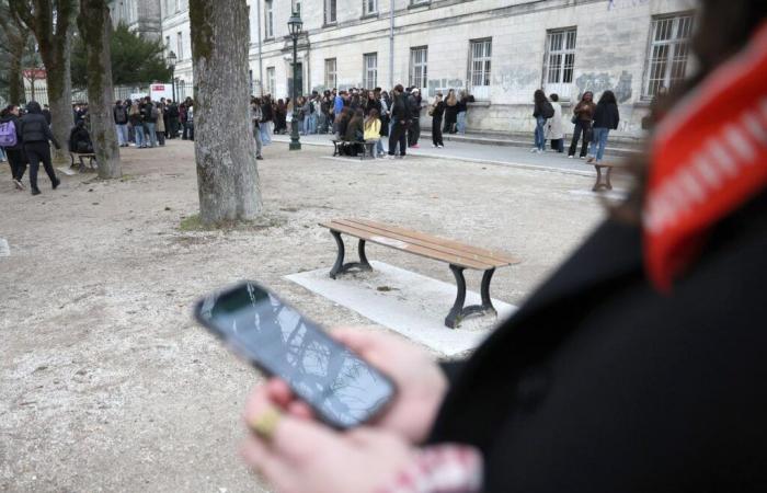 quattro casi di scabbia denunciati al liceo Guez-de-Balzac