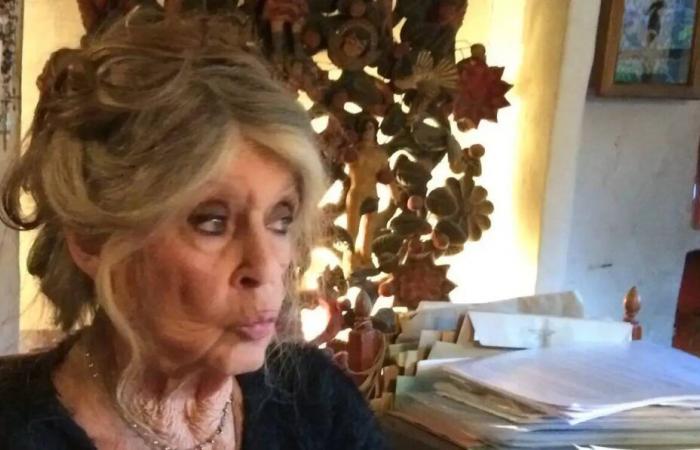 Brigitte Bardot spinge gli attacchi contro la sua fondazione