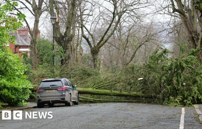 Migliaia senza potere in Ni come Storm Éowyn “pericoloso per la vita”