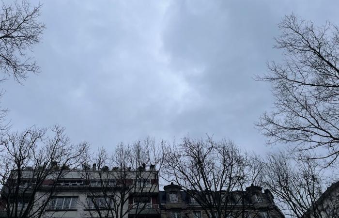 Bollettino meteorologico. Che tempo fa in Alta Francia questo sabato 25 gennaio?