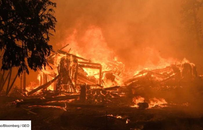 Per spiegare gli incendi e la siccità in California, Trump preferisce dare la colpa ai pesci