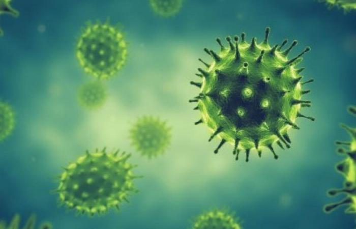 L’influenza sta guadagnando terreno in Martinica