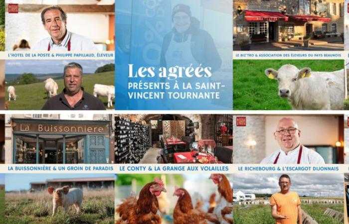 il luogo gourmet di Saint-Vincent de Ladoix