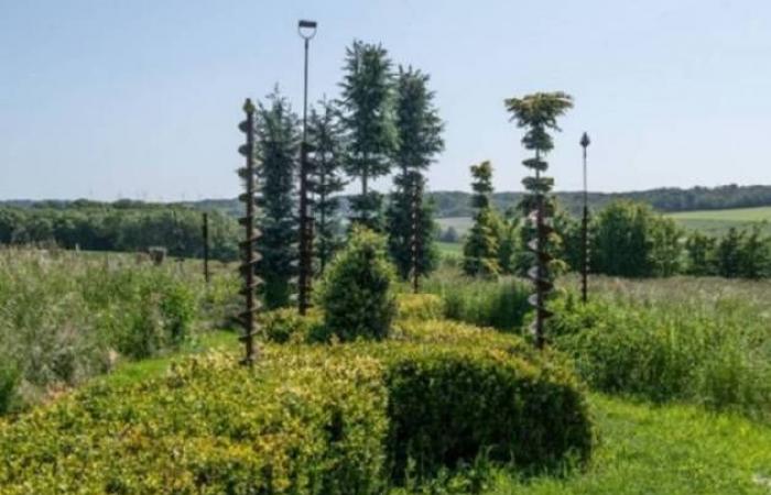 Île-de-France evidenzia i suoi 45 straordinari giardini