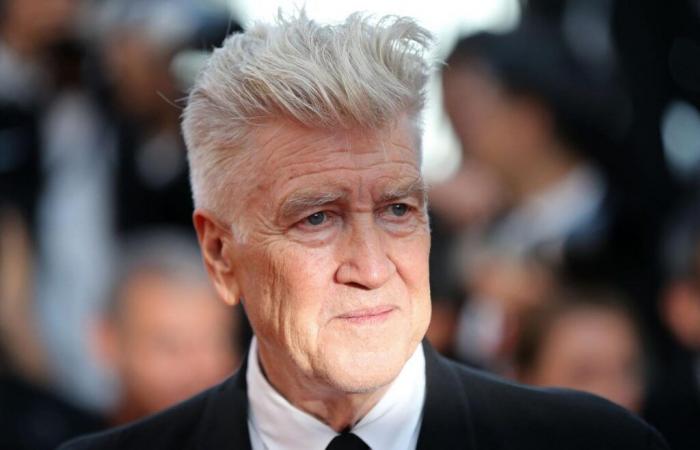 “I film e i silenzi di David Lynch, di un’ambiguità folle e talvolta incomprensibile, sono magnifiche aberrazioni”