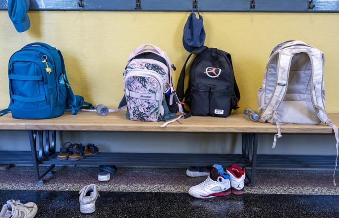 Scolarizzazione di un bambino su sette colpiti da shock climatici