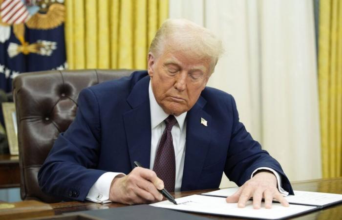 Donald Trump lancia le prime espulsioni di massa di migranti illegali