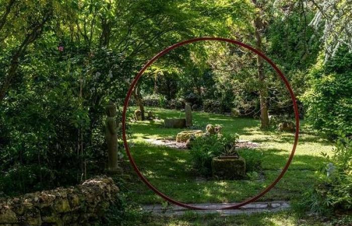 Île-de-France evidenzia i suoi 45 straordinari giardini