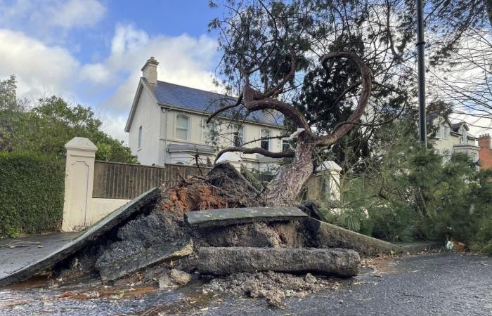 La tempesta Eowyn colpisce Irlanda e Regno Unito