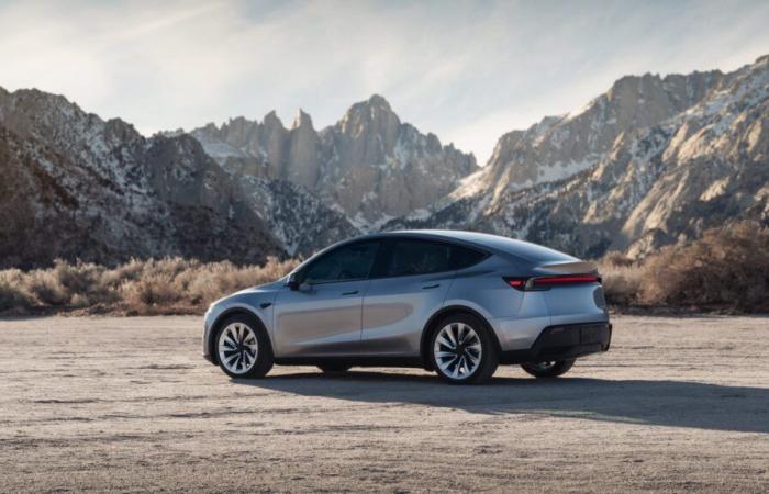 Nuovo Tesla Model Y lancia negli Stati Uniti, le consegne stimate a marzo