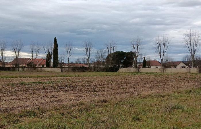 Un progetto per una grande area di transito per i viaggiatori preoccupa i residenti locali, a nord del lotto