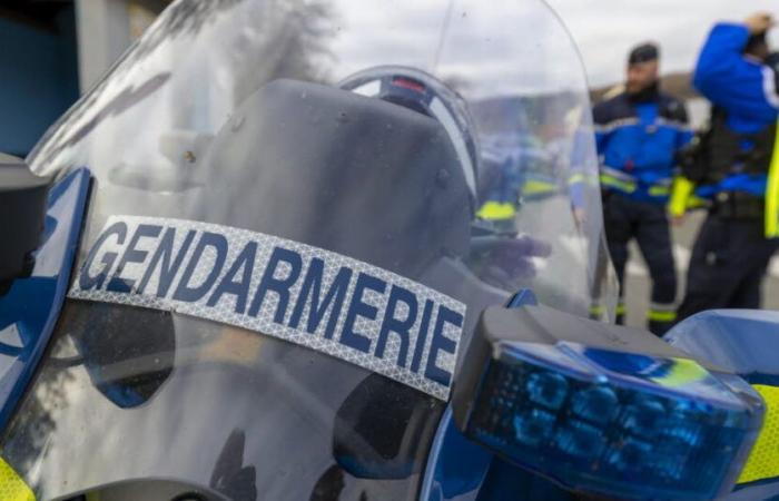 79 gendarmi mobilitati per tre giorni