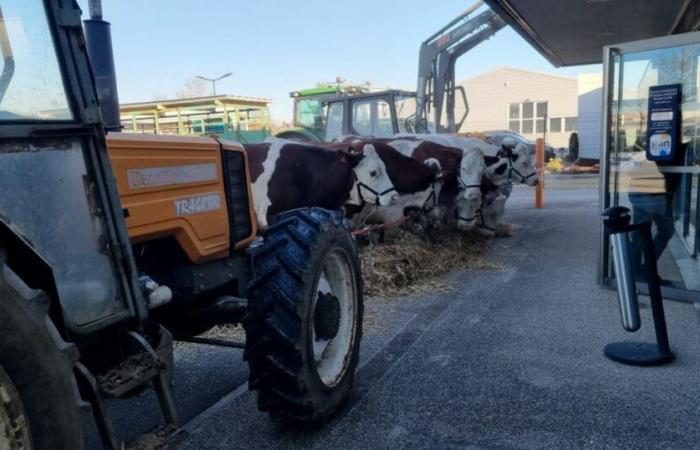 Pontarlier. L’agricoltore arrabbiato dovrà negoziare con un altro assicuratore