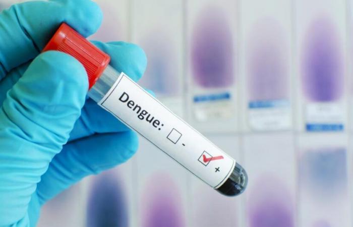 La recrudescenza della febbre dengue preoccupa in Guadalupa