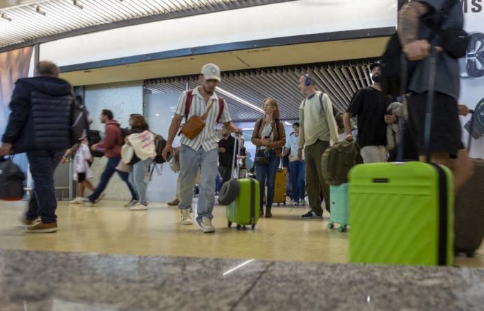 Un deputato lontano accusato di aver rubato valigie all’aeroporto