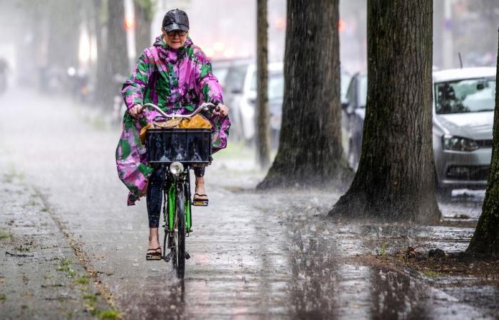 I Paesi Bassi sono colpiti da Storm molto pesante Éowyn