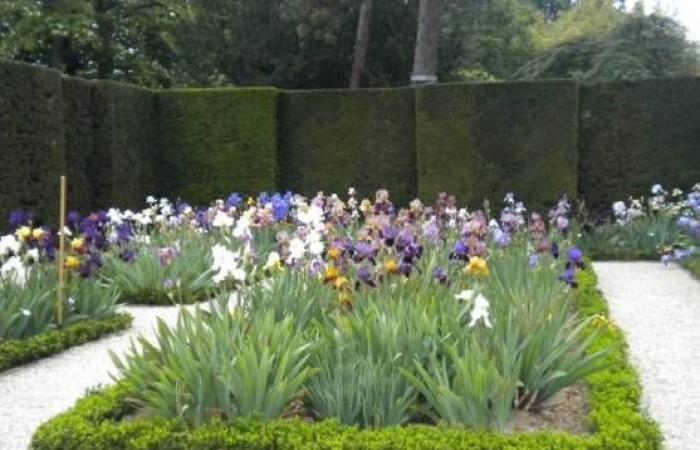 Île-de-France evidenzia i suoi 45 straordinari giardini