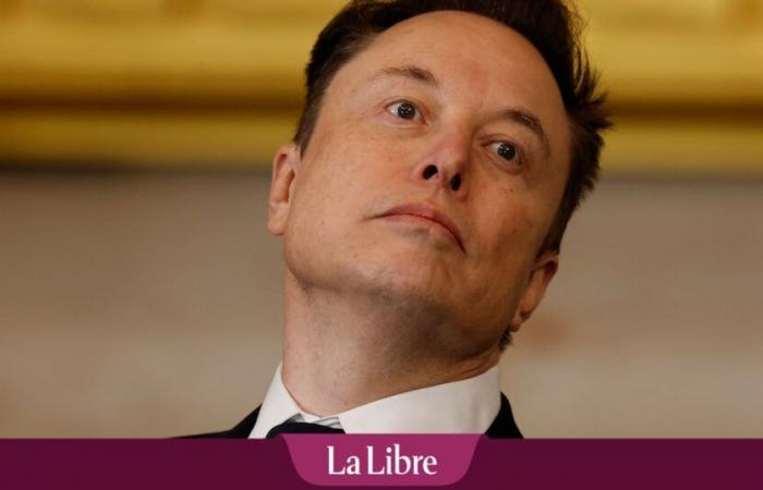 Il fratello di Elon Musk incontra Giorgia Meloni in Italia