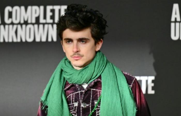 Nei panni di Bob Dylan, Timothée Chalamet bussa alle porte del Paradiso: Notizie