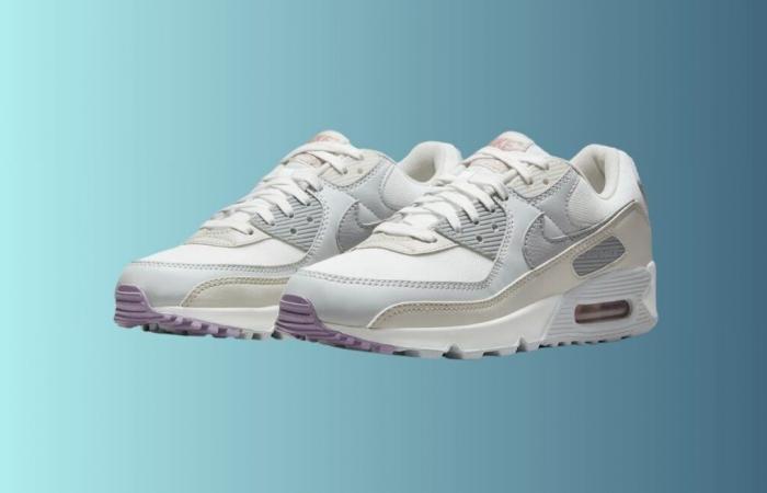 Nike colpisce forte e schiaccia il prezzo di queste air max 90 durante i saldi