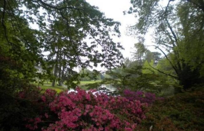 Île-de-France evidenzia i suoi 45 straordinari giardini