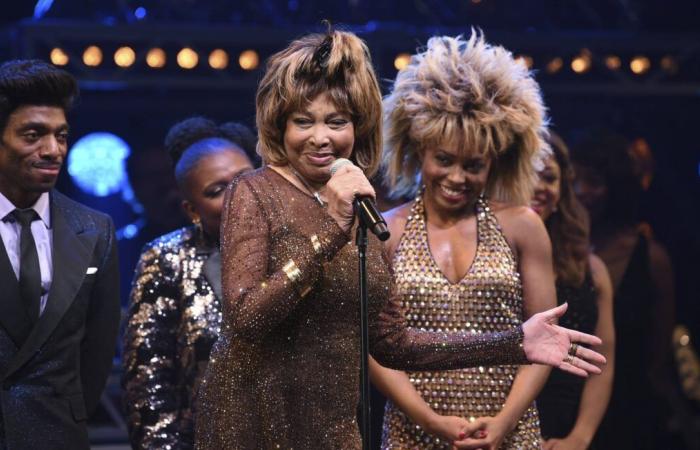 Canzone “Lost” di Tina Turner trovata e trasmessa per la prima volta alla radio