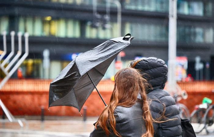 Tempesta Eowyn, stupro di un’adolescente, vigilanza sulla A13… Le informazioni a mezzogiorno in Île-de-France