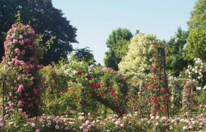 Île-de-France evidenzia i suoi 45 straordinari giardini