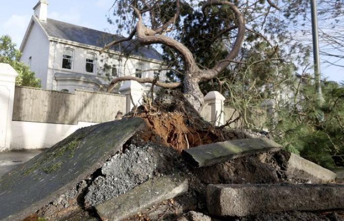 La “bomba ciclonica” Éowyn ha colpito l’Irlanda e il Regno Unito prima di arrivare in Francia