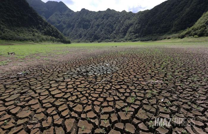 Cali dell’acqua, mayotte, pesticidi, airbag e siccità