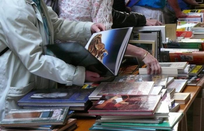 una svendita di fumetti e libri… a solo un euro al chilo