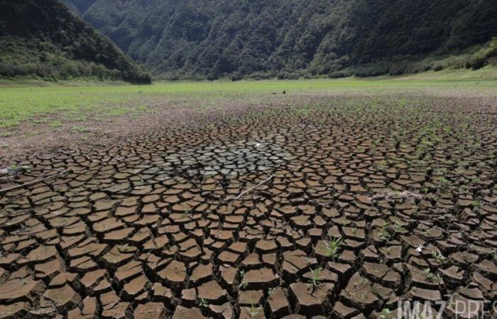 Cali dell’acqua, mayotte, pesticidi, airbag e siccità