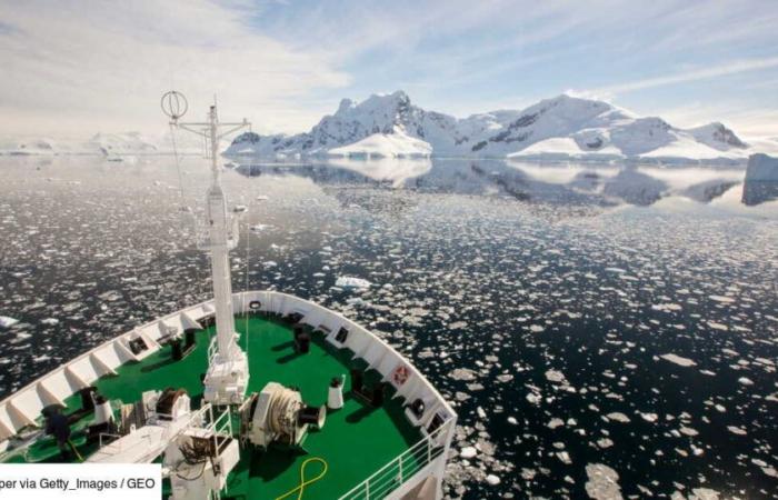 Russia e Cina minacciano la sopravvivenza delle specie in Antartide minando l’accordo cruciale sul “krill”.