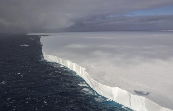 Il più grande iceberg minaccia l’Isola della Georgia del Sud