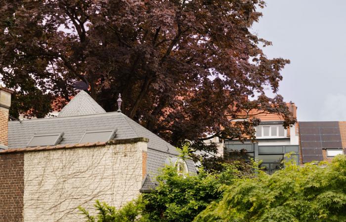 A Bruxelles, un hotel piuma con il suo giardino