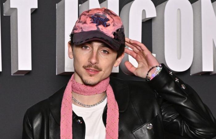 Timothée Chalamet sognava un lavoro completamente diverso ma “non aveva il livello”, ha detto suo padre